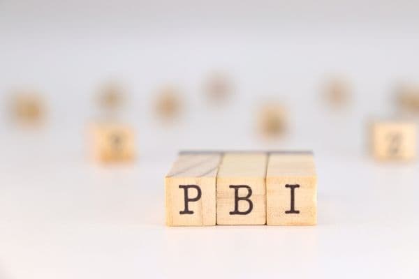 representación del PBI.jpg